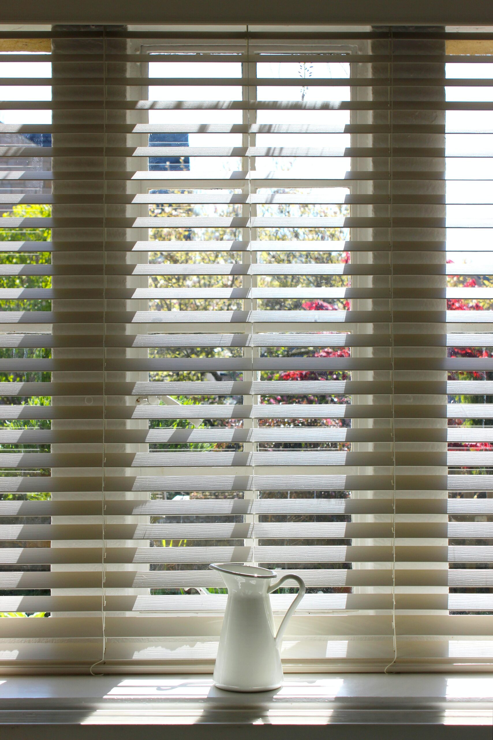 Venetian Blinds