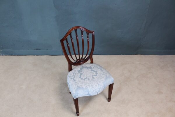 Dining Chair