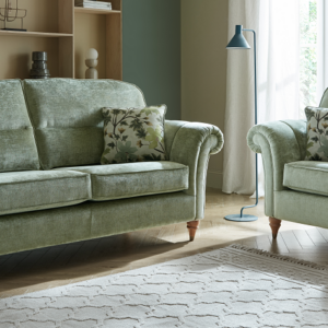 Velvet Sofa and chair